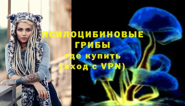 МДПВ Тында