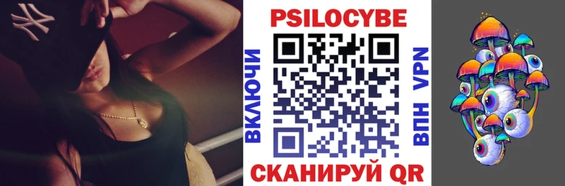 дарнет шоп  гидра ONION  Галлюциногенные грибы прущие грибы  Чаплыгин 